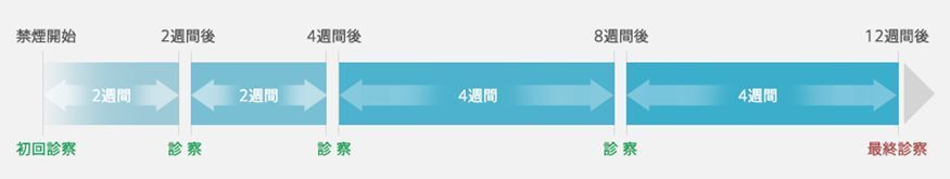 禁煙外来の流れ